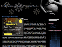 Tablet Screenshot of dieschwangerschaftswochen.de